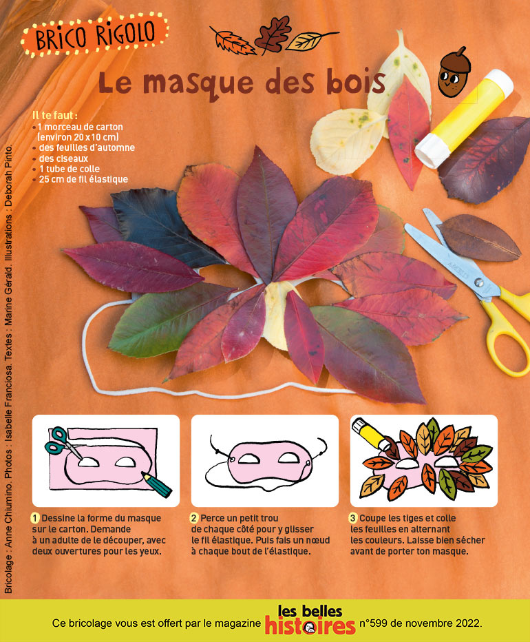 Bricolage nature : le masque des bois - Les Belles Histoires